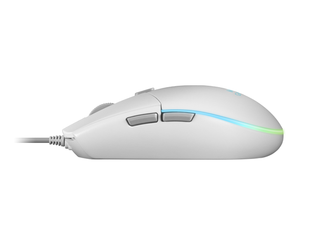 Mouse RGB Flow