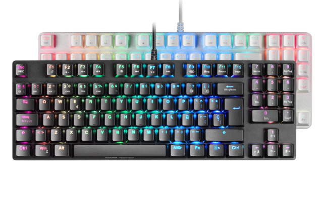 Clavier Gaming Compact sans Pavé Numérique pour PC - PS4 - PS5 - Xbox