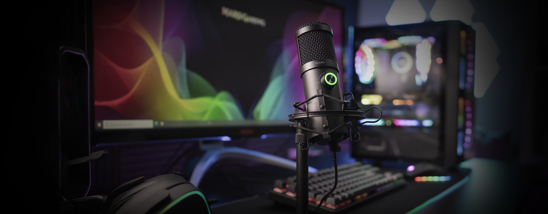 PROFESSIONAL STUDIO MICROPHONE